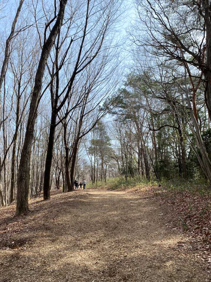 
山　というより、丘といった感じ

ウッドチップが敷かれてあって、万人に優しい登山道でした✨