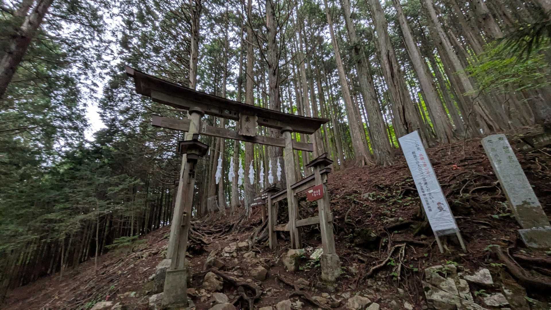 雲取山往復 | 関東屈指のパワースポット三峯神社から目指す東京最高峰の写真