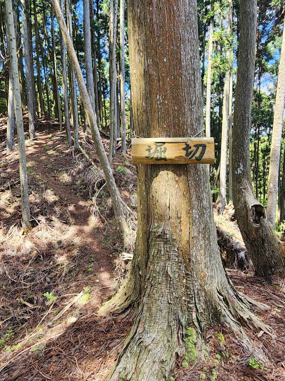 堀切　その先は