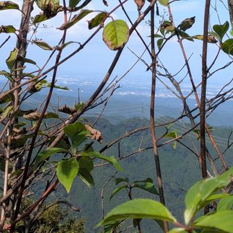 山頂からの景色