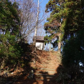 青葉神社が見えた