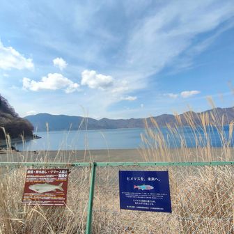 ヒメマスが十和田湖から来たんだって