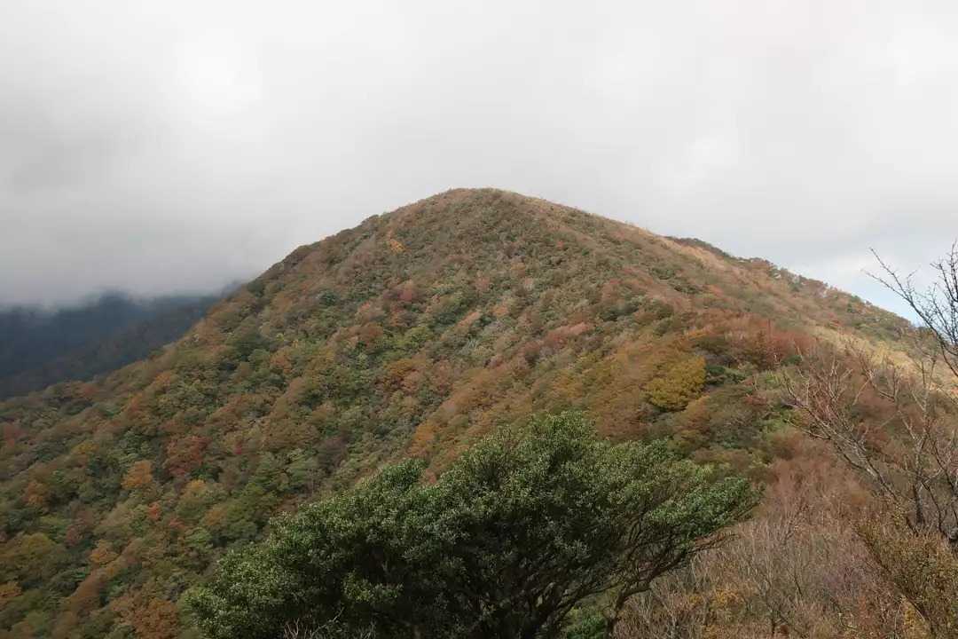 万二郎岳（天城山）の写真