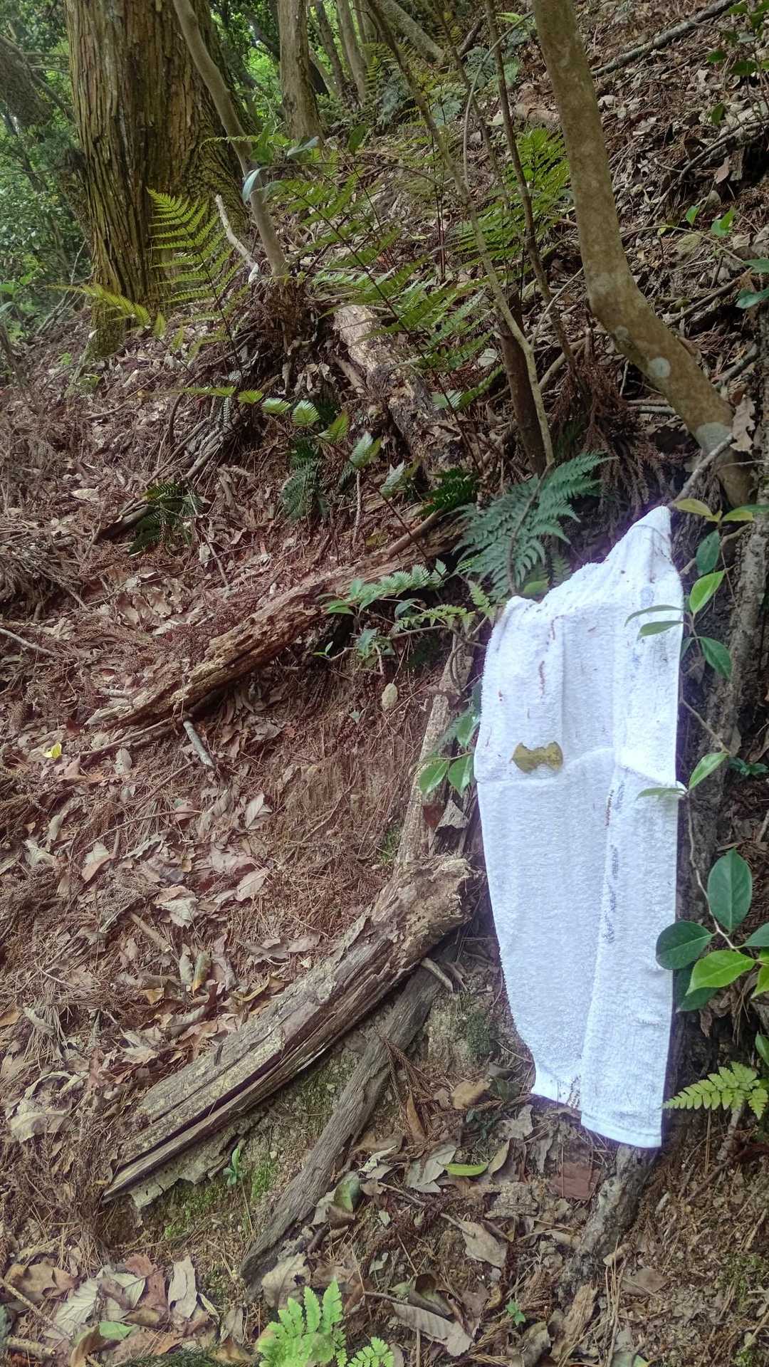 一反木綿👻かと思った❗️🤣