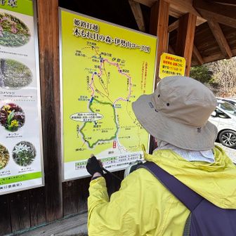 伊勢山コース図が有ったの振り返りました🎶