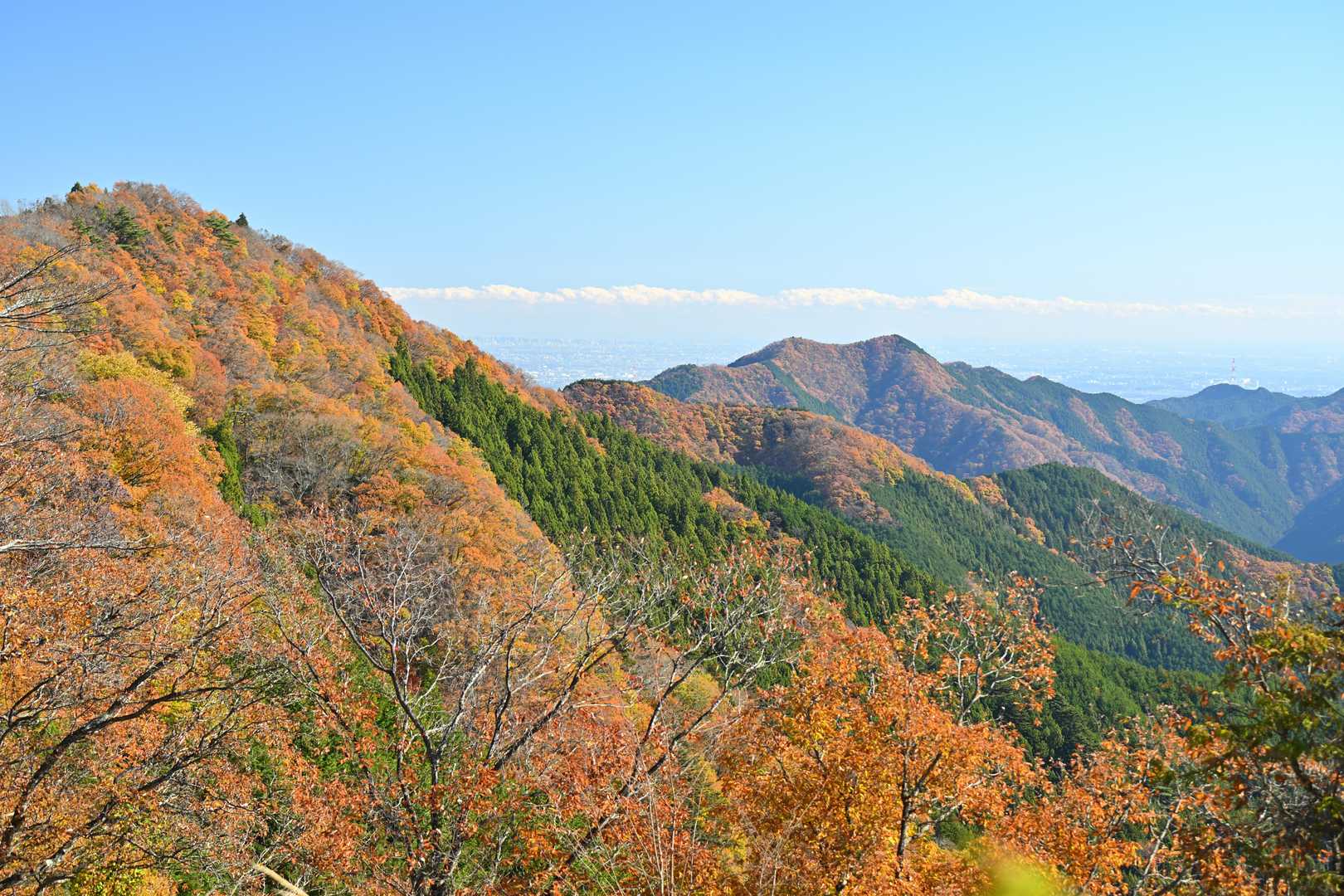 これまた大正解！！ここからの眺望は、ちょっと感動🍁