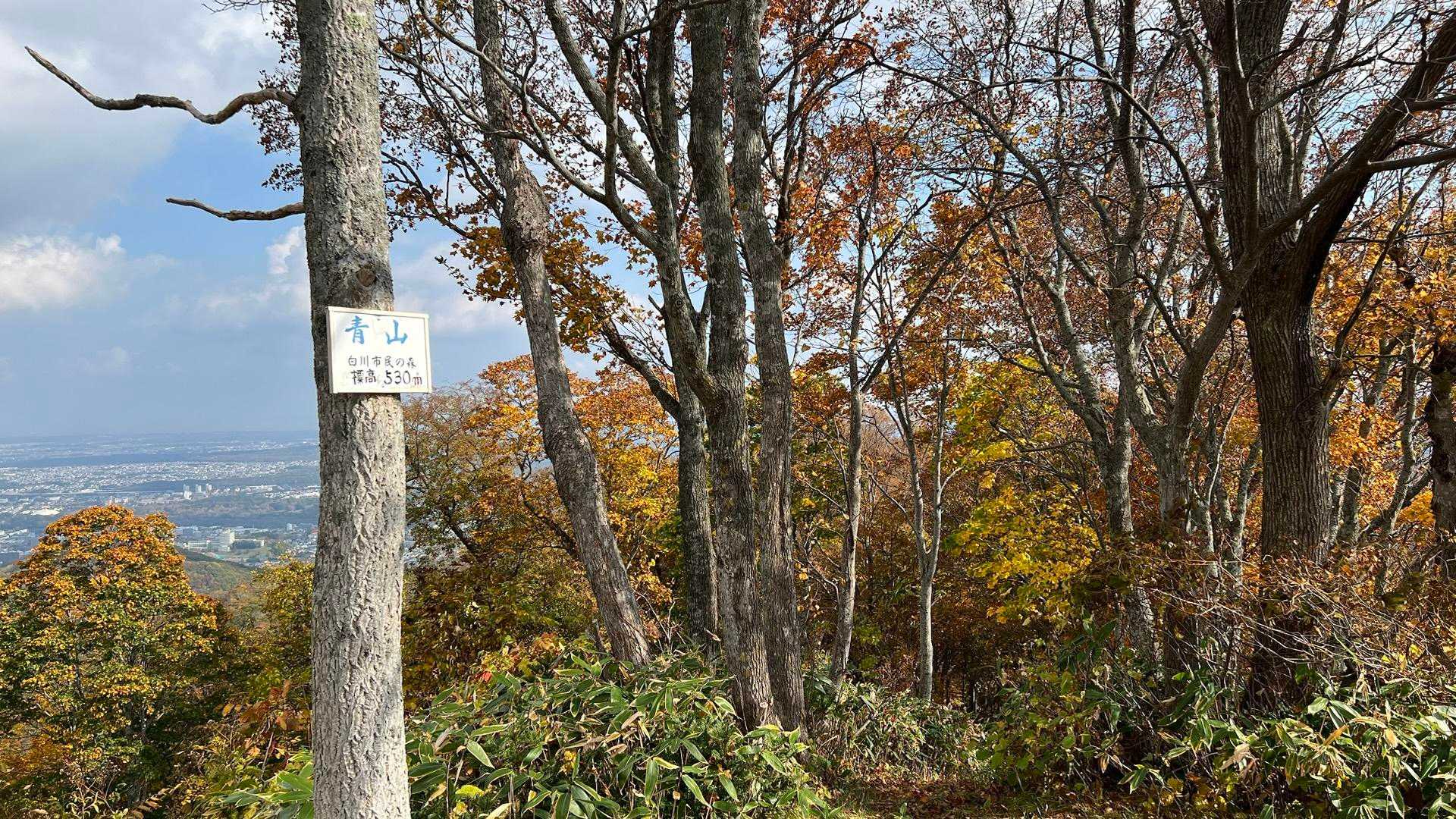 青山 周回コースの写真