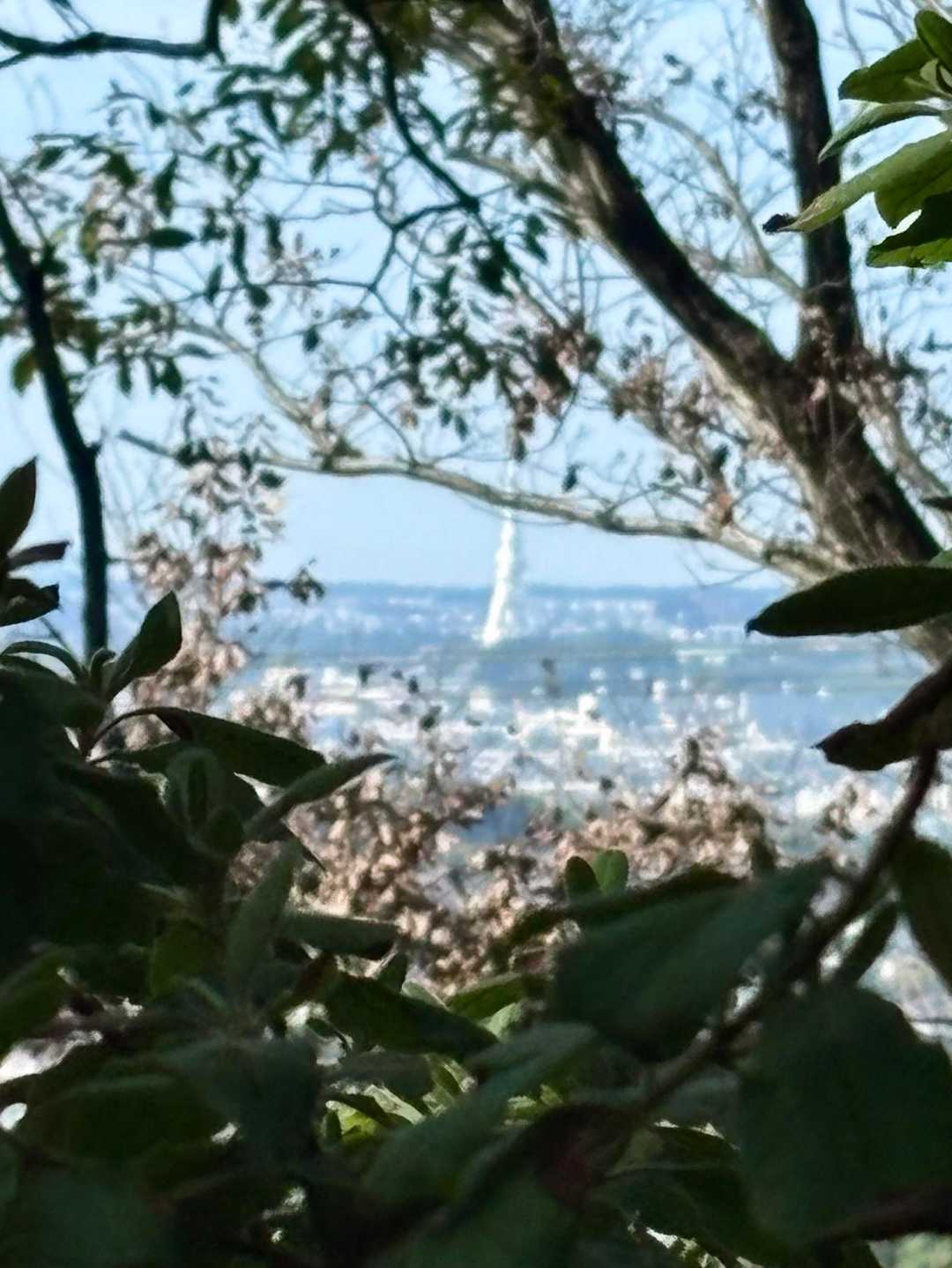 ＰＬ