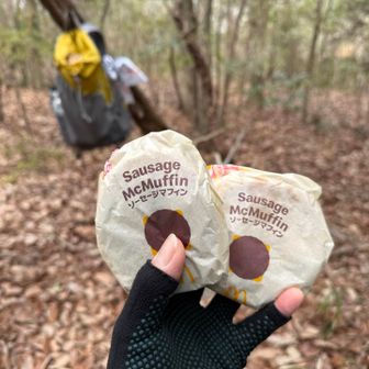 ここで、朝買ってきたマクドタイム。
マクドって冷めたらおいしないやん😒
いえいえ🖐🏻全然いける。めっちゃ美味しい😋最高の行動食やん