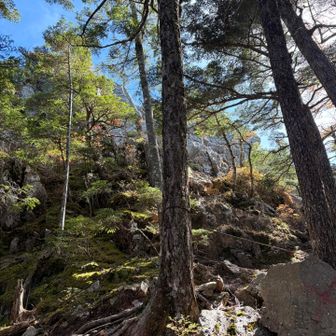 武信白岩山は一般登山者は登れないみたい
