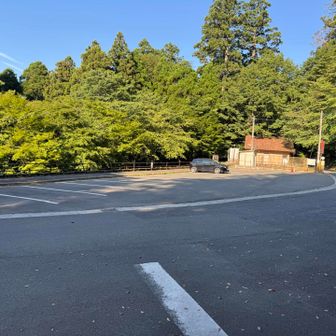 いつも通り駐車場には我らの車のみ🚗笑