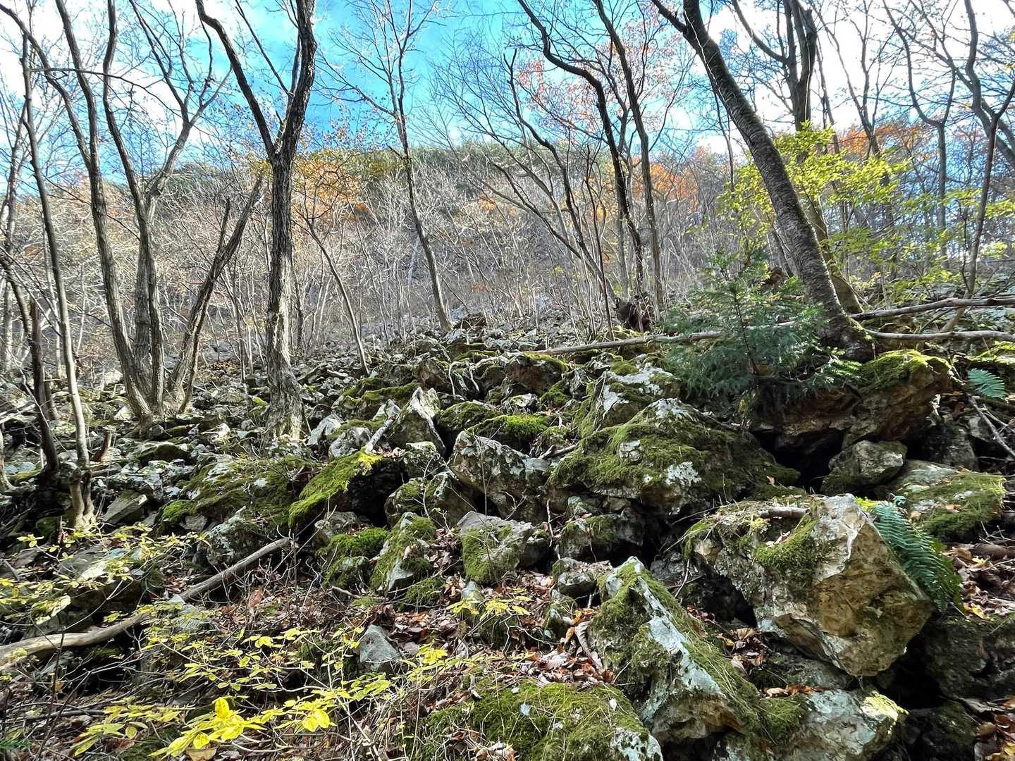 見上げてもゴツゴツ岩山です