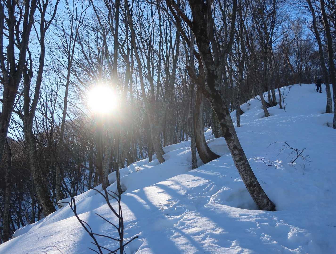 金剛堂山冬期登山口-片折岳 往復コースの写真