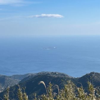 山頂より①
初島かな？