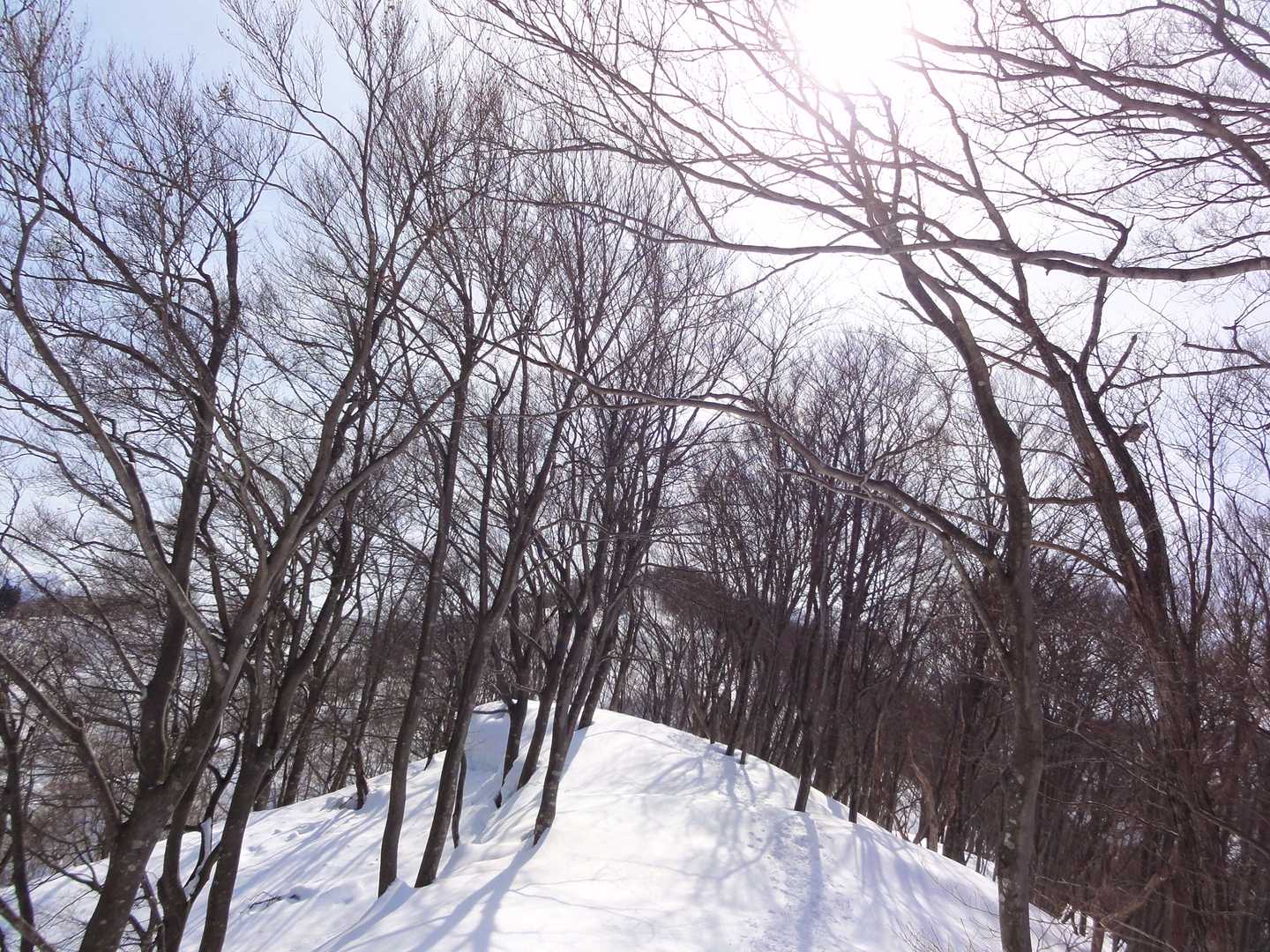 牛岳山頂が見えてきました。