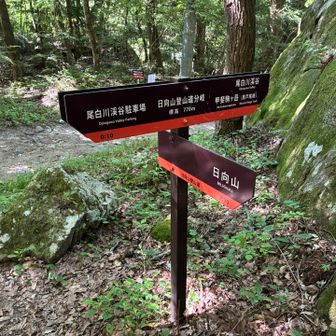 下山．尾白川渓谷の方へ行ってみます．