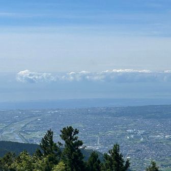 酒匂川と相模湾まで見える！