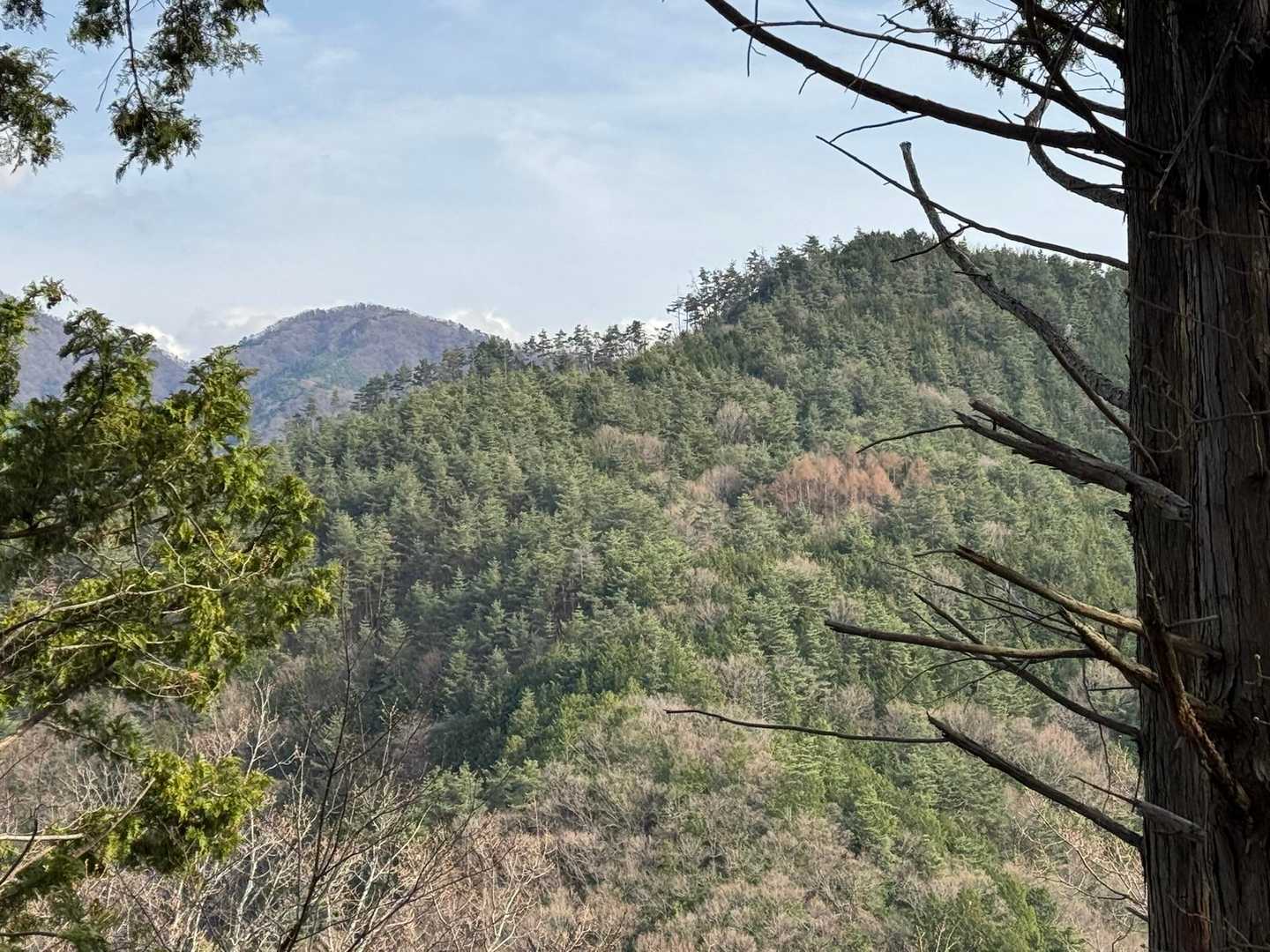 周回する場合はあの峰に行くのだと思います。
けっこう降って登る感じなので、もちろん自分の足で今から行くのは無理がある。