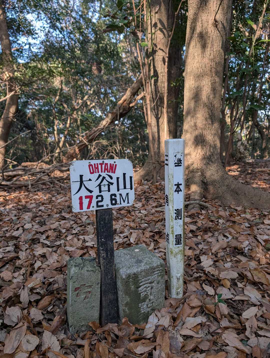 オオタニサン⚾️山頂到着😁