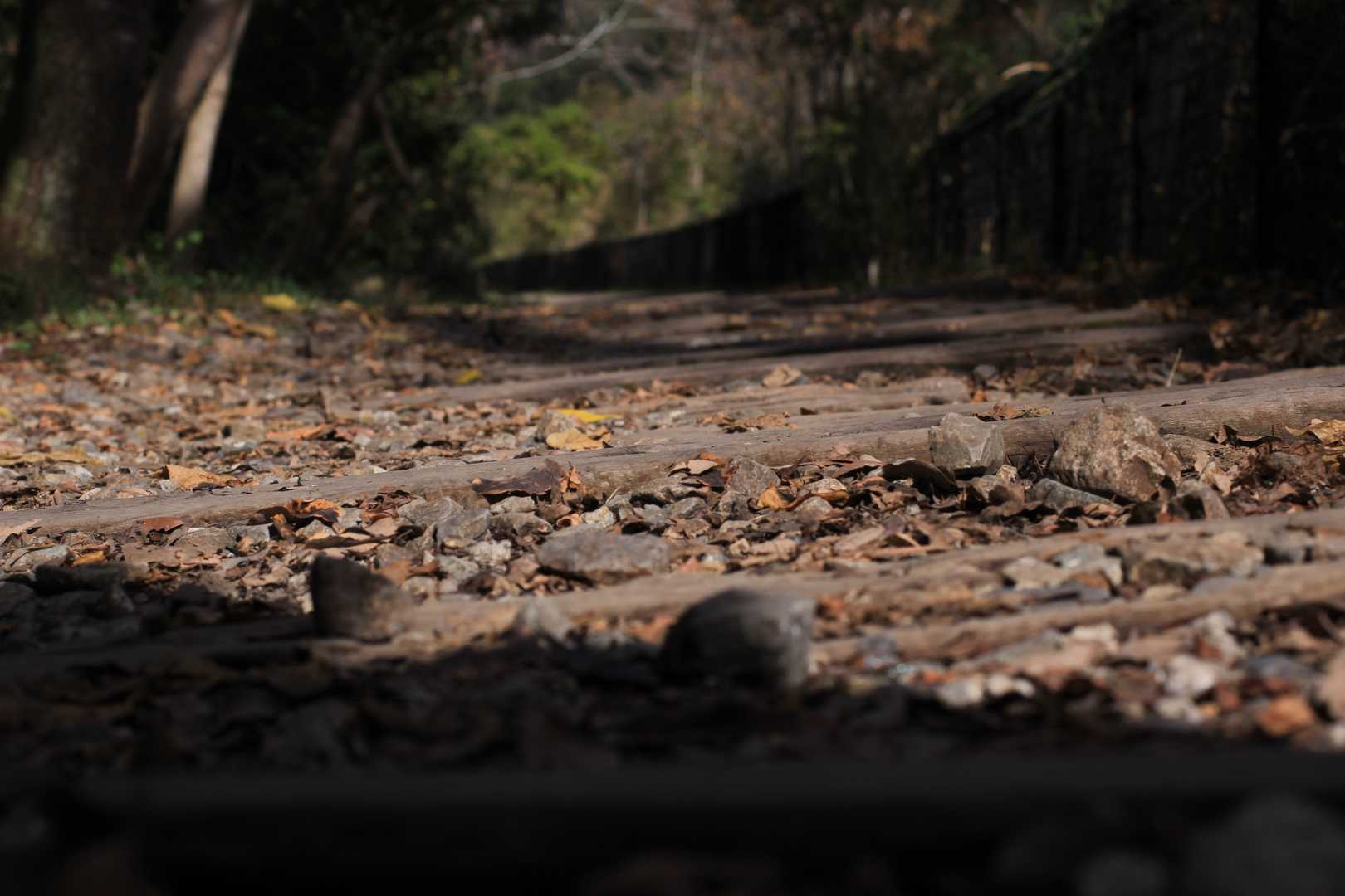 山本駅-満願寺西山-長尾山-中山-取り付き-大峰山-林間広 縦走コースの写真