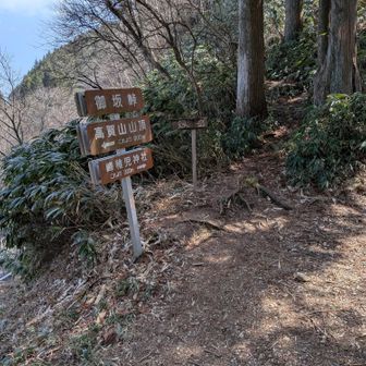 車が通れる林道があってビックリした。真っ直ぐ、行く道。戻りは右から来る。剱岳の表示が気になる…