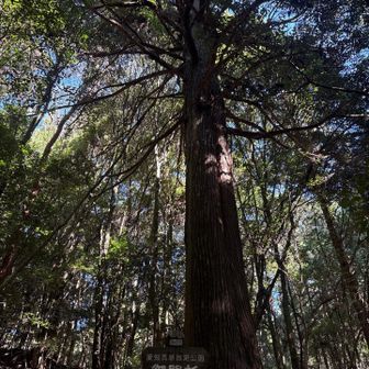 猿投山に来ました。
里山低山の季節が始まりですね

これからの季節は
紅葉を見ながら
山歩きしたいね

天気もいいから
駐車場は満車です