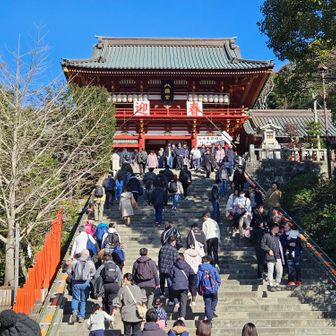 鶴岡八幡宮。お正月前でも、この人の数