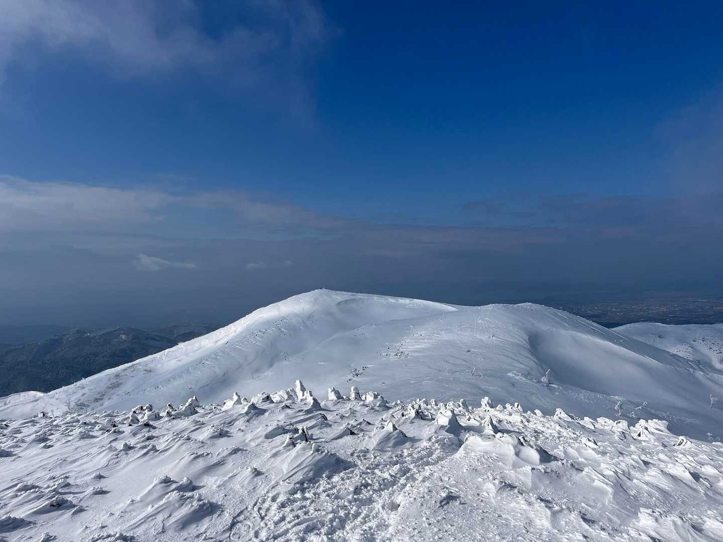 今畑登山口-笹峠-霊仙山最高点 往復コースの写真