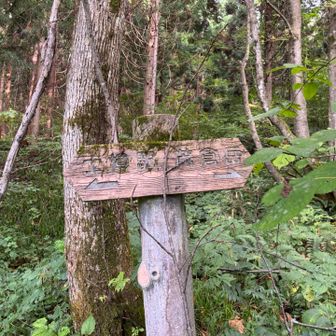 長い茂倉岳からの尾根だったが、無事山を降りてこられた。
