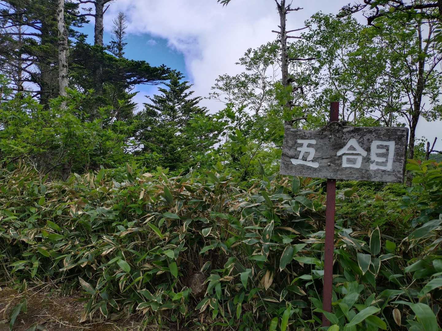 五合目

青空見えてきて
嬉しい💙
