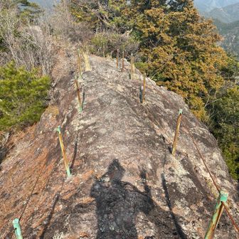 ここからワクワクする道が続く