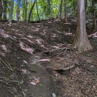 最後に登り返しです🚶