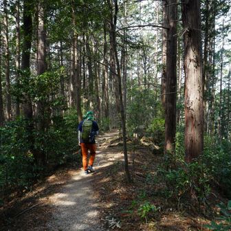 森林浴　気持ちがいい～❤