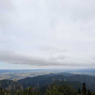よくもわるくもない天気かな