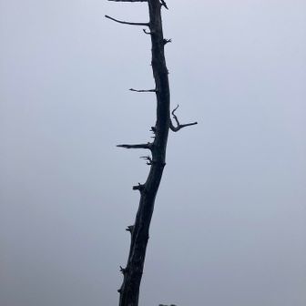 普段なら眺望の良い雨乞い岩