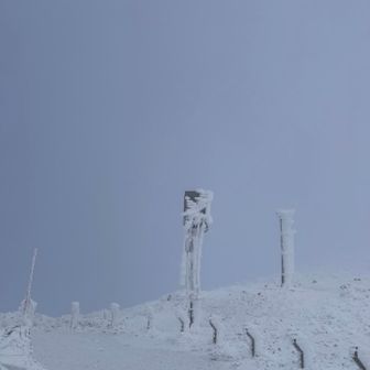 エビちゃんがいっぱいなのです🦐