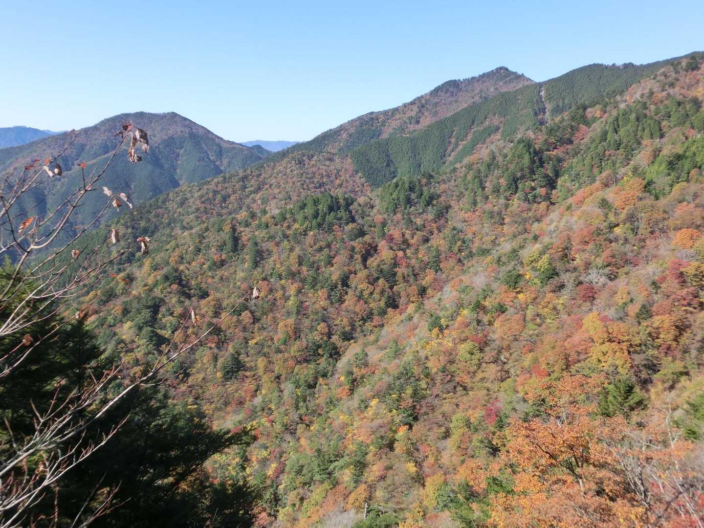 瓢ヶ岳 周回コースの写真