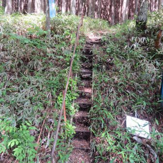 下山しました