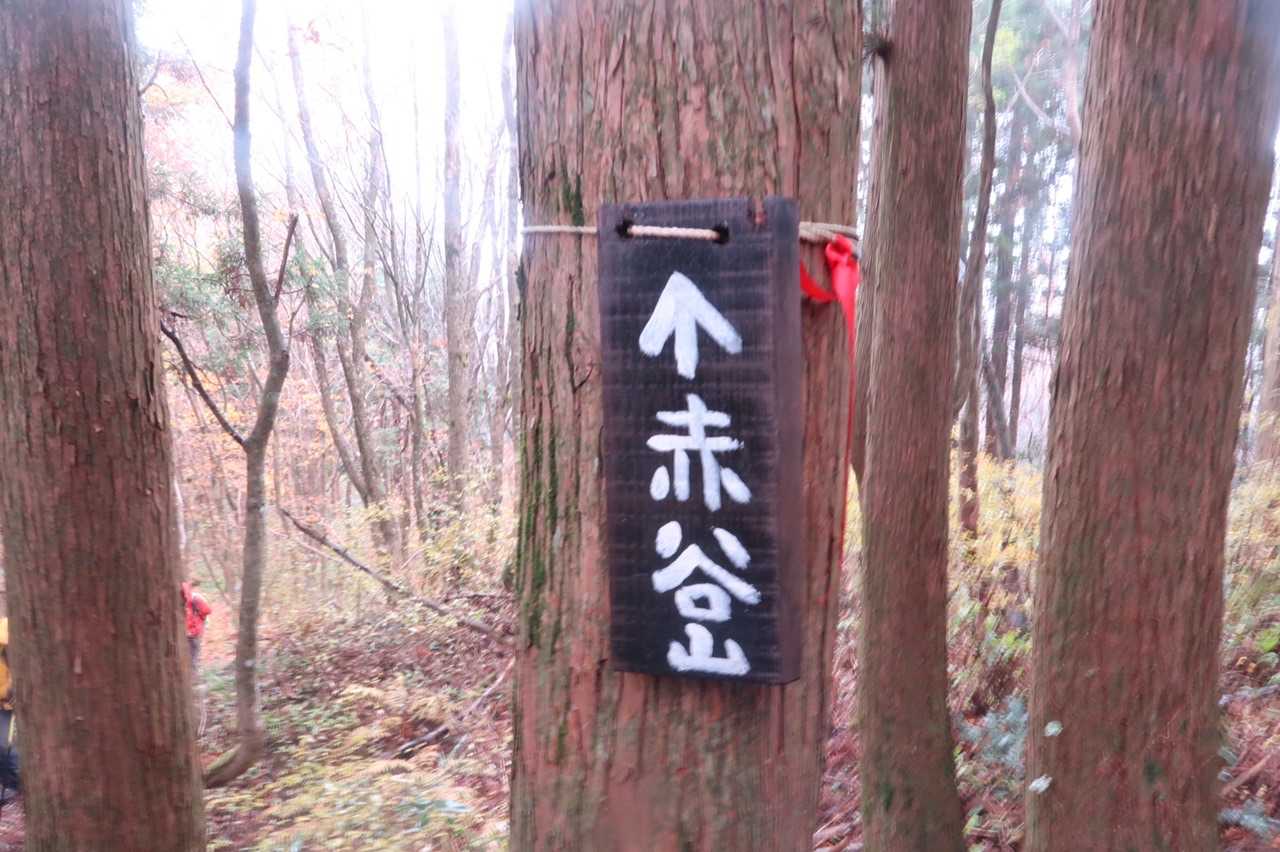 雨のため赤谷山ピークは踏まずに下山しましたが、絶景ポイントの岩まで行けばYAMAPカウントされるようです。