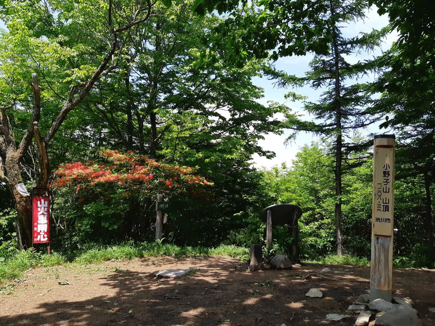 小野子山の写真