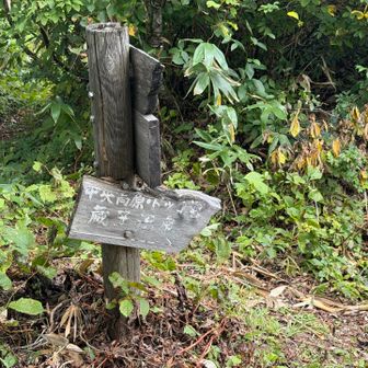 帰りは竜山ゲレンデ方面へ下ります