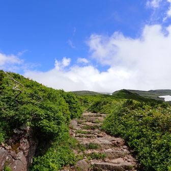 新山は見えない😅