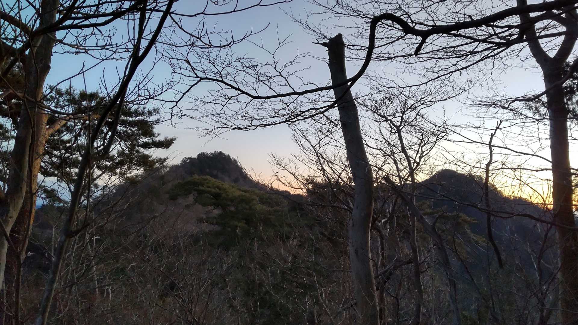 鞍掛山-シゲト山-猪倉峠 周回コースの写真
