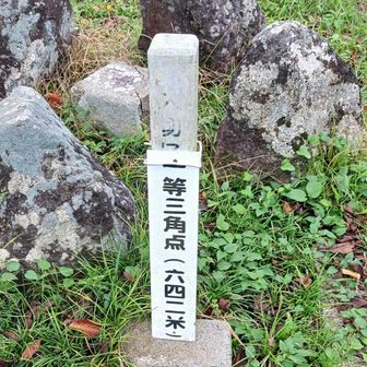 一等三角点