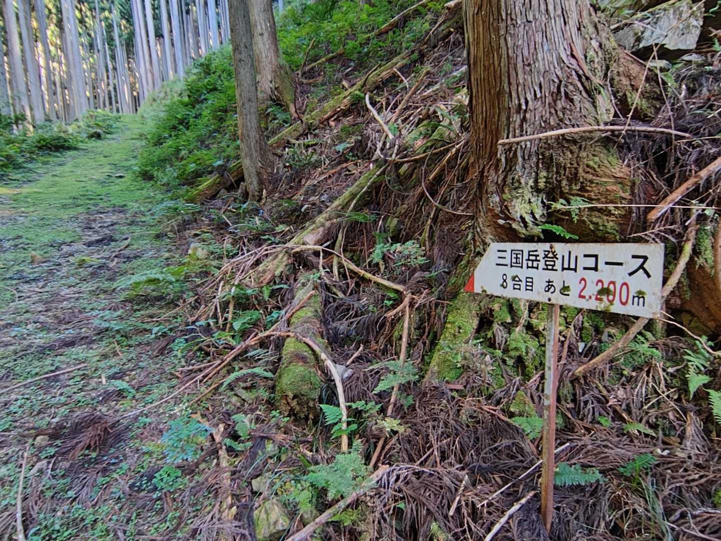 案内標識🪧
８合目ってなってます🤔