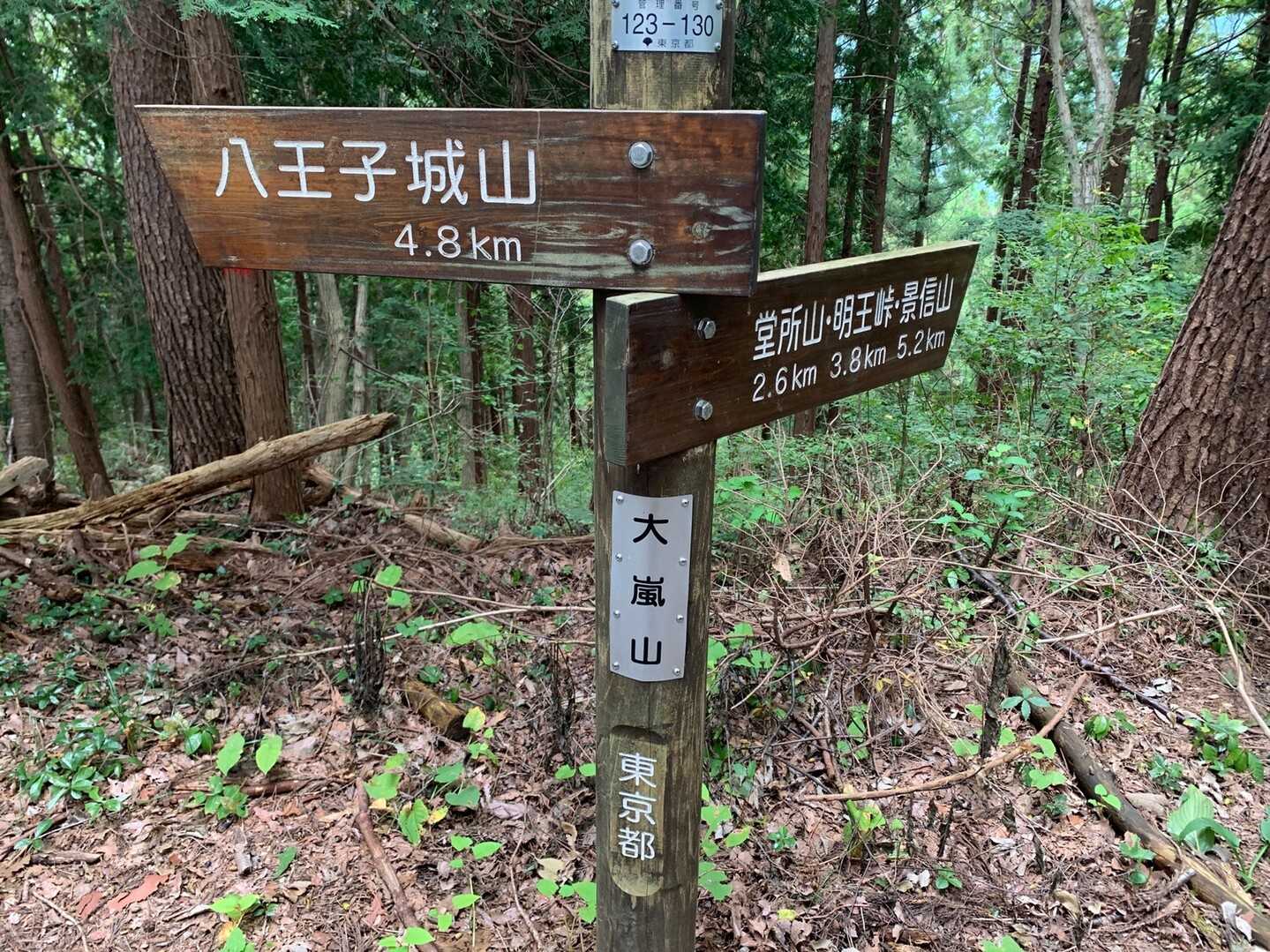 大嵐山の写真