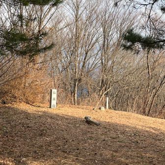 山頂は芝地で明るい
