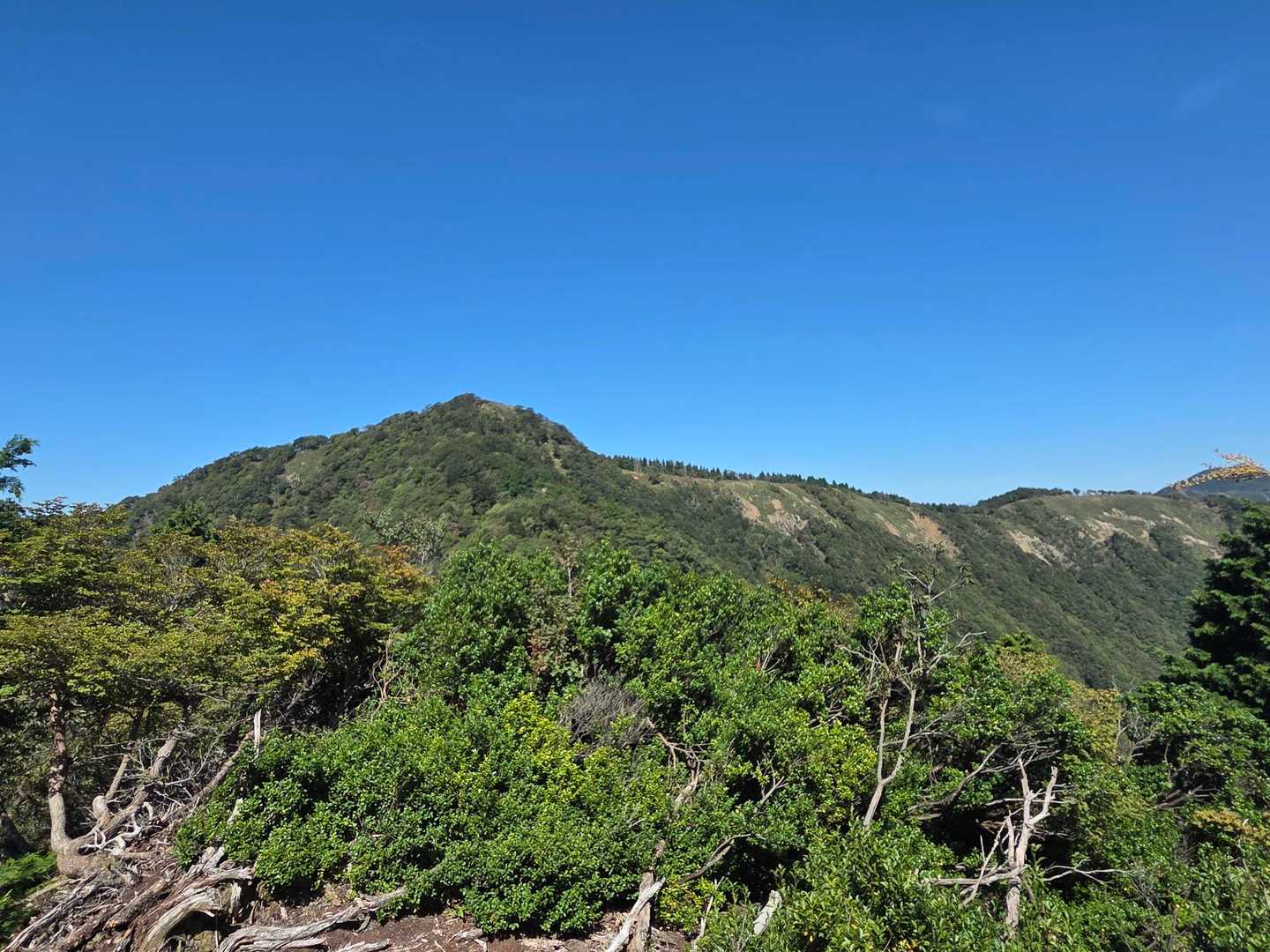 ようやく見えた小津権現山⛰️