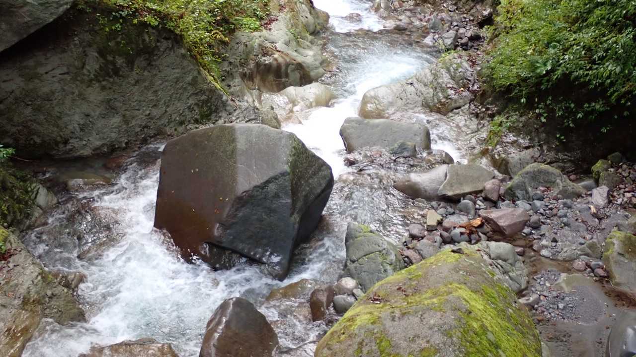 きれいな水が印象的。