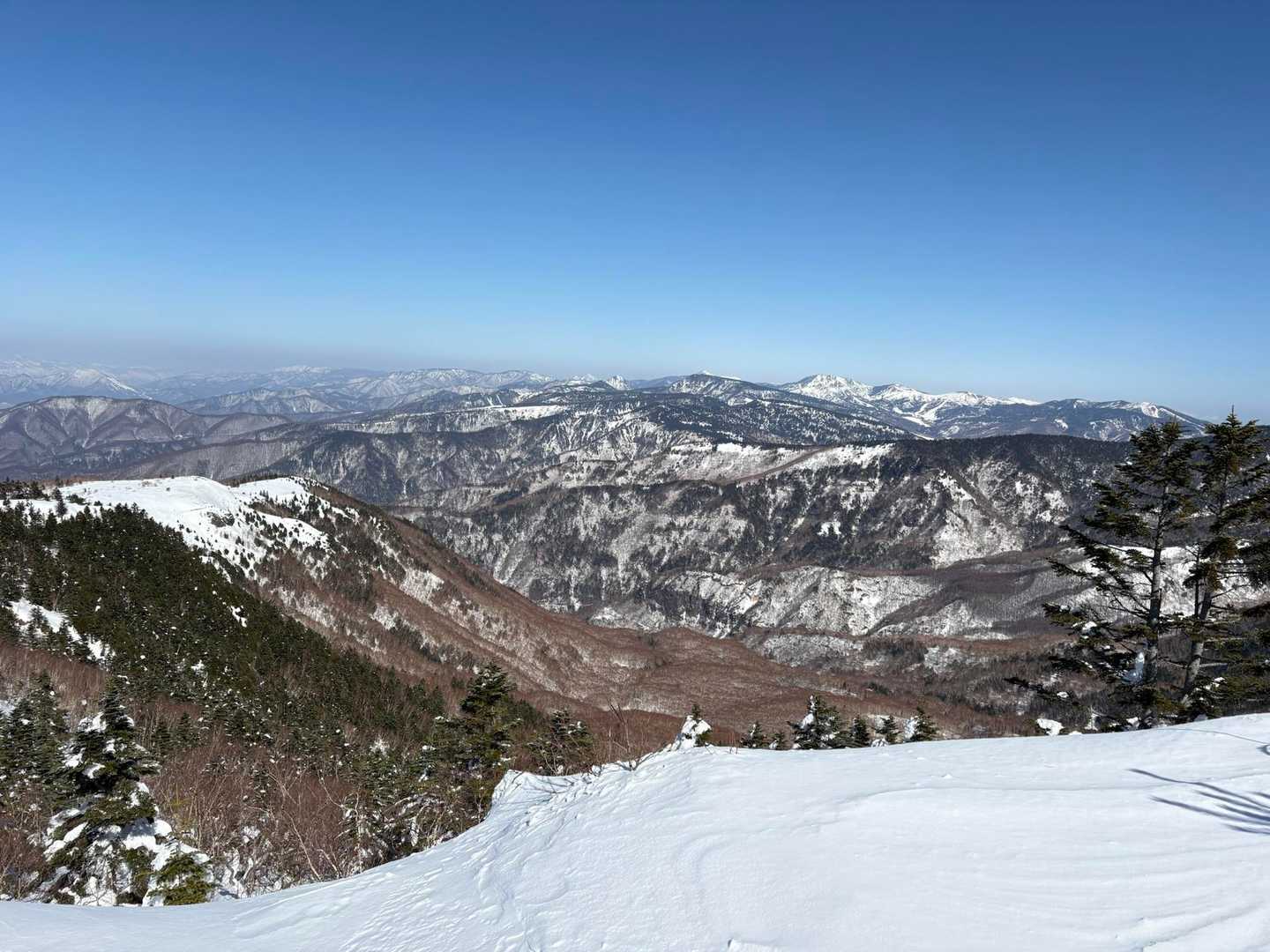 根子岳 往復コースの写真